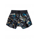 Pánske Boxerky Quiksilver Heritage - IMPOSTER C