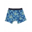 Pánske Boxerky Quiksilver Island - IMPOSTER C