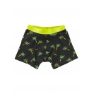 Pánske Boxerky Quiksilver Vintage - IMPOSTER C